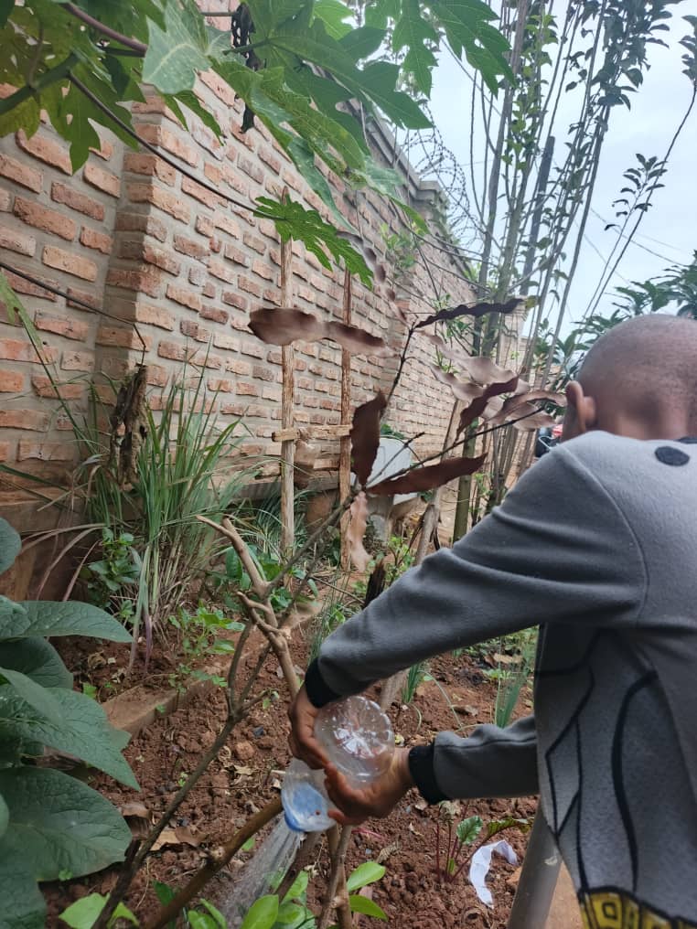 He didn't just have a dream — he has capacity