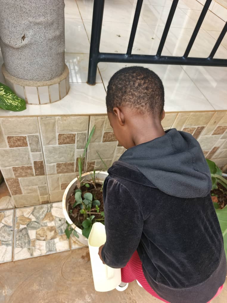 Child taking responsibility — watering plants